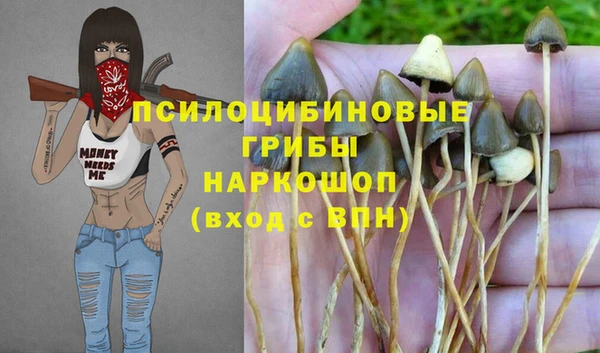 прущие крисы Семёнов